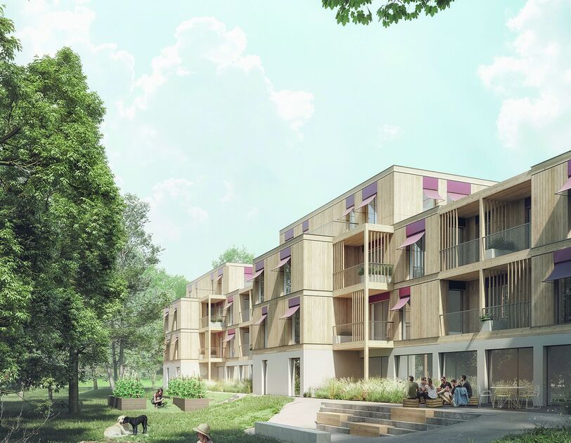 Visualisierung eines Wohnprojekts in Holz- und Holzhybrid-Bauweise