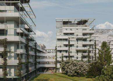 Visualisierung eines Wohnprojekts mit weißer Fassade und vertikaler Begrünung